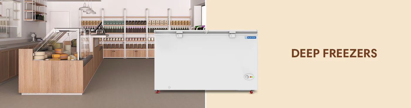Blue Star Deep Freezer Service